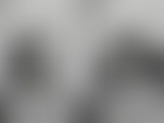 WANTED - Paul·ine le poulpe, Secrétaire de LEX 2050