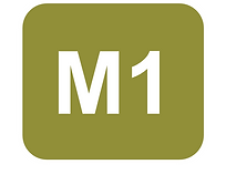 M1.png