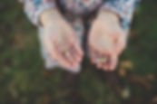 Daisies