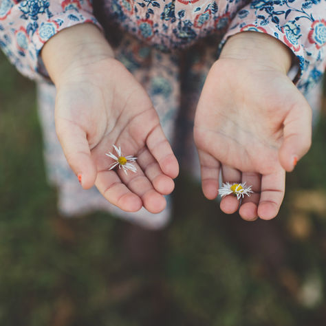 Hands offering flowers 
