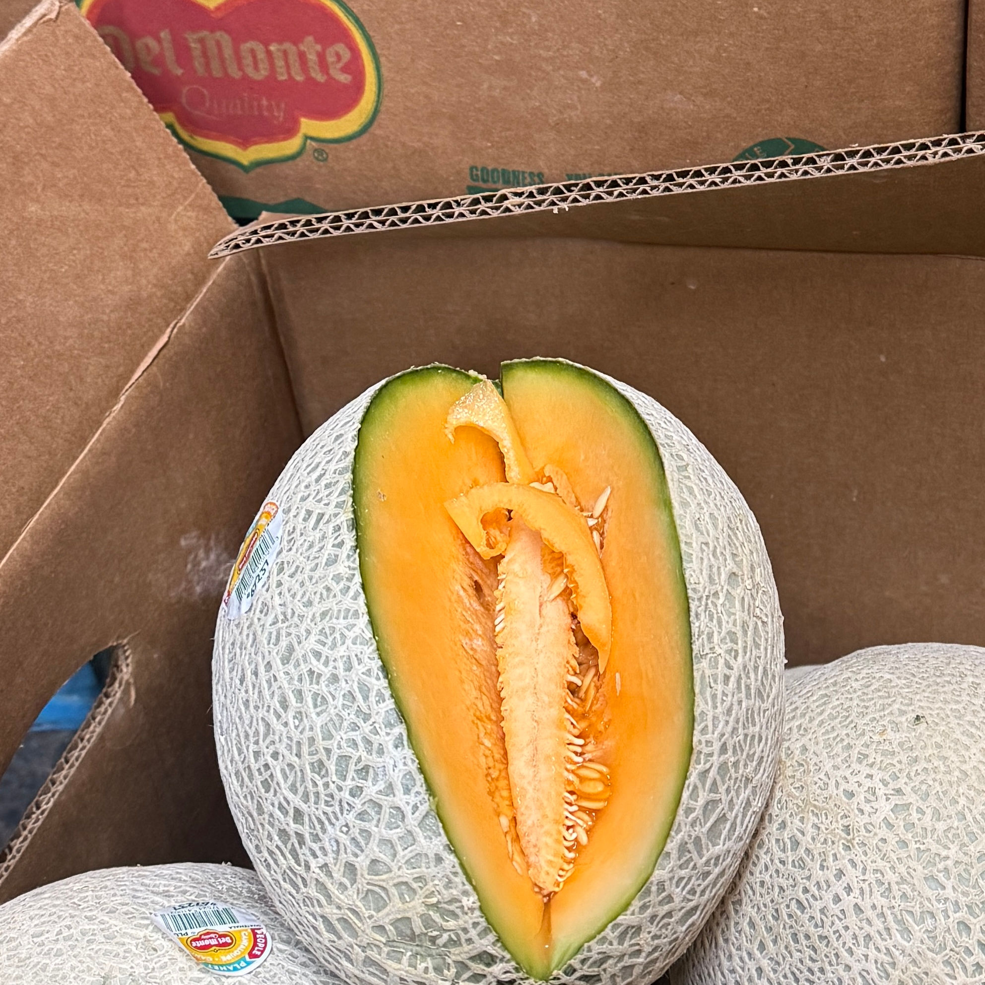 Cantaloupes Jumbo 9ct