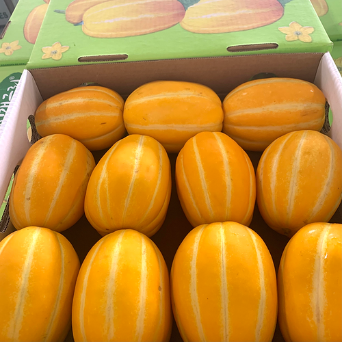 Korean Melons 911ct, appx 10 lbs. SplitBox Produce