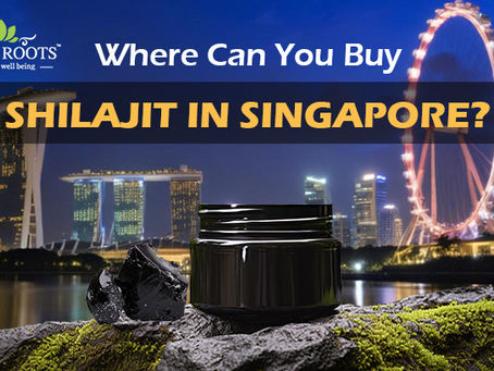 Where Can You Buy Shilajit in Singapore?