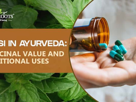 Tulsi in Ayurveda: Medicinal Value and Traditional Uses