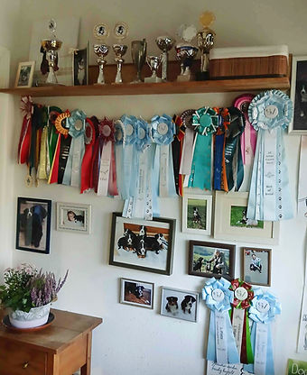 kl Sammlung20250910_182737_edited.jpg