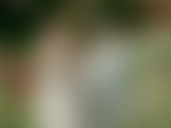 Was kostet ein Hochzeitsfotograf in Mannheim und Heidelberg?