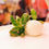 Miniature : Burrata pugliese