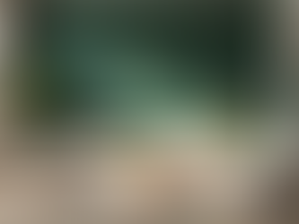 Elegant Interior Renovations for Homes in Ontario