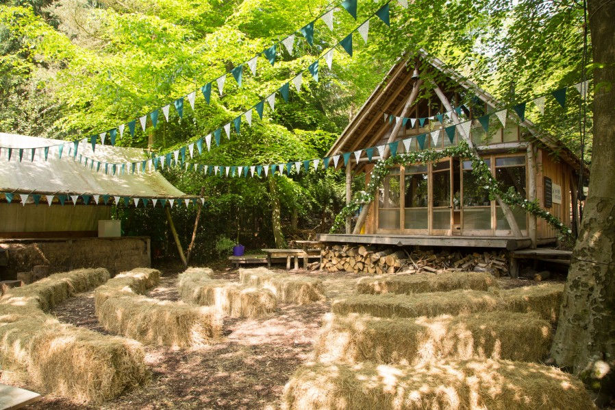 Thumbnail: Forest Bathing & Storytelling For Organisations
