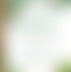 10 top books on Forest Bathing