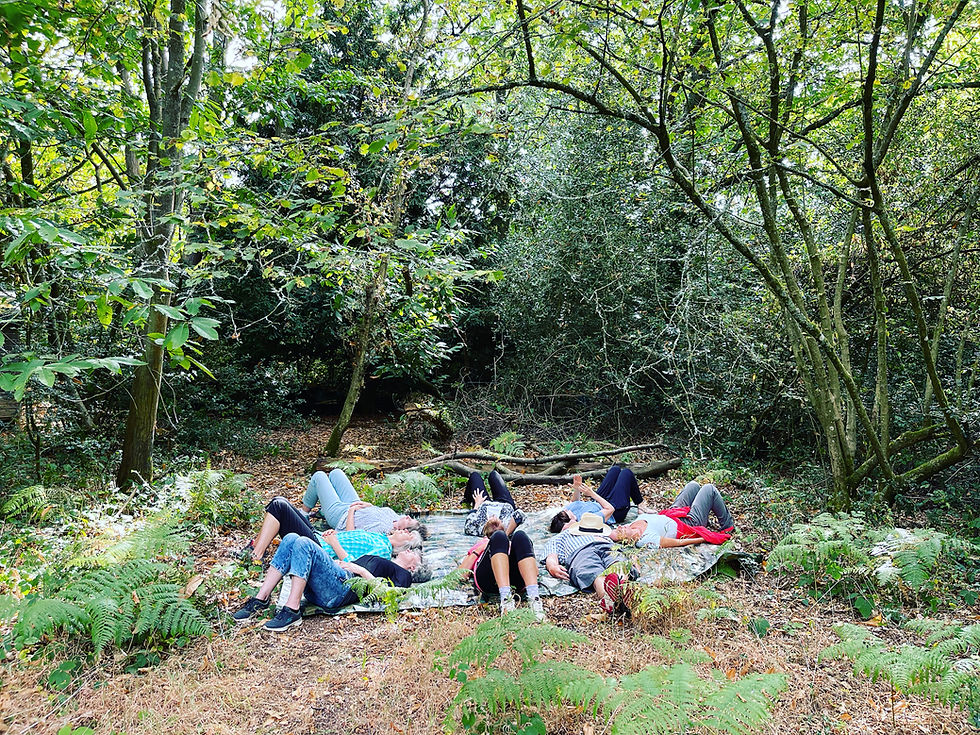 Thumbnail: The Warmth Returns - Forest Bathing in Nower Wood