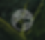 Reciprocal Forest Breath Session