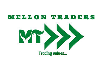 Melllon traders logo green Updated_edited.jpg
