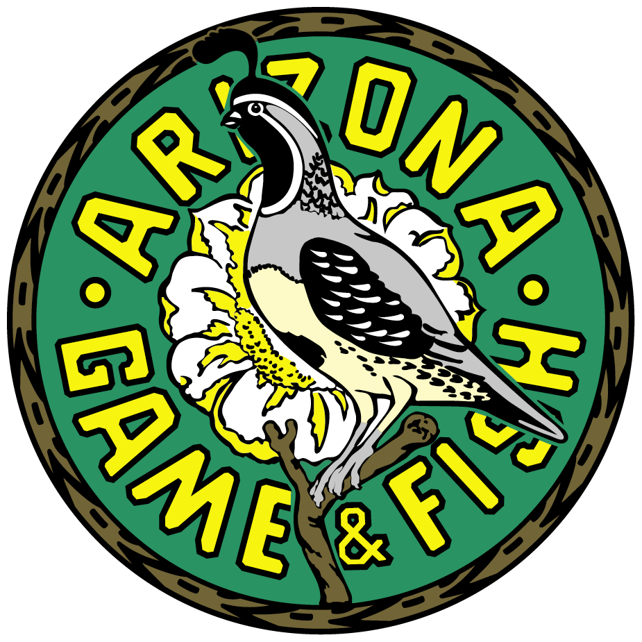 Arizona 3D Archery