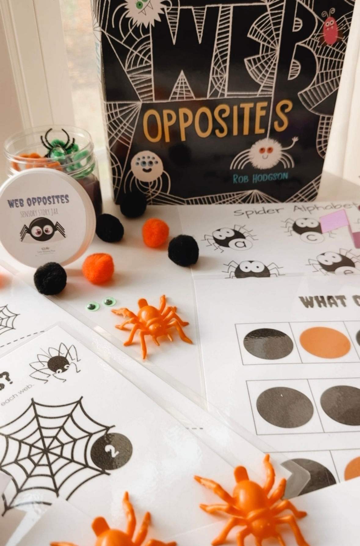 Little Reading Adventure Kit: Spooky Spiders Kit