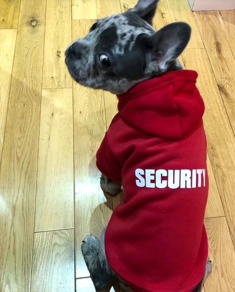 Thumbnail: Security Hoodie with lead hole