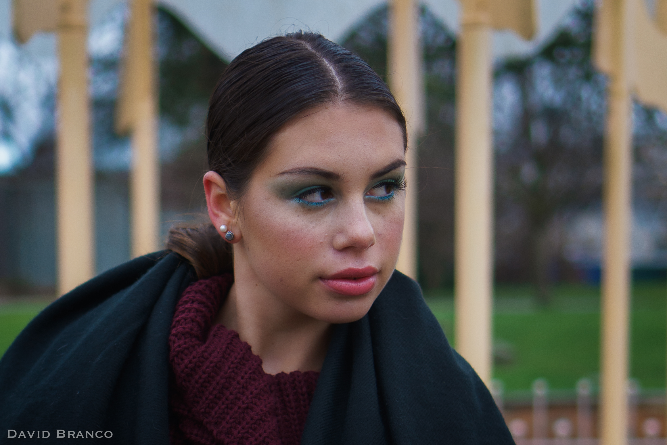 Battersea Park Jan 17