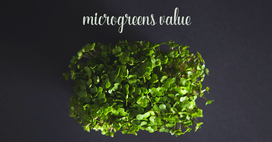 Healino_microgreen