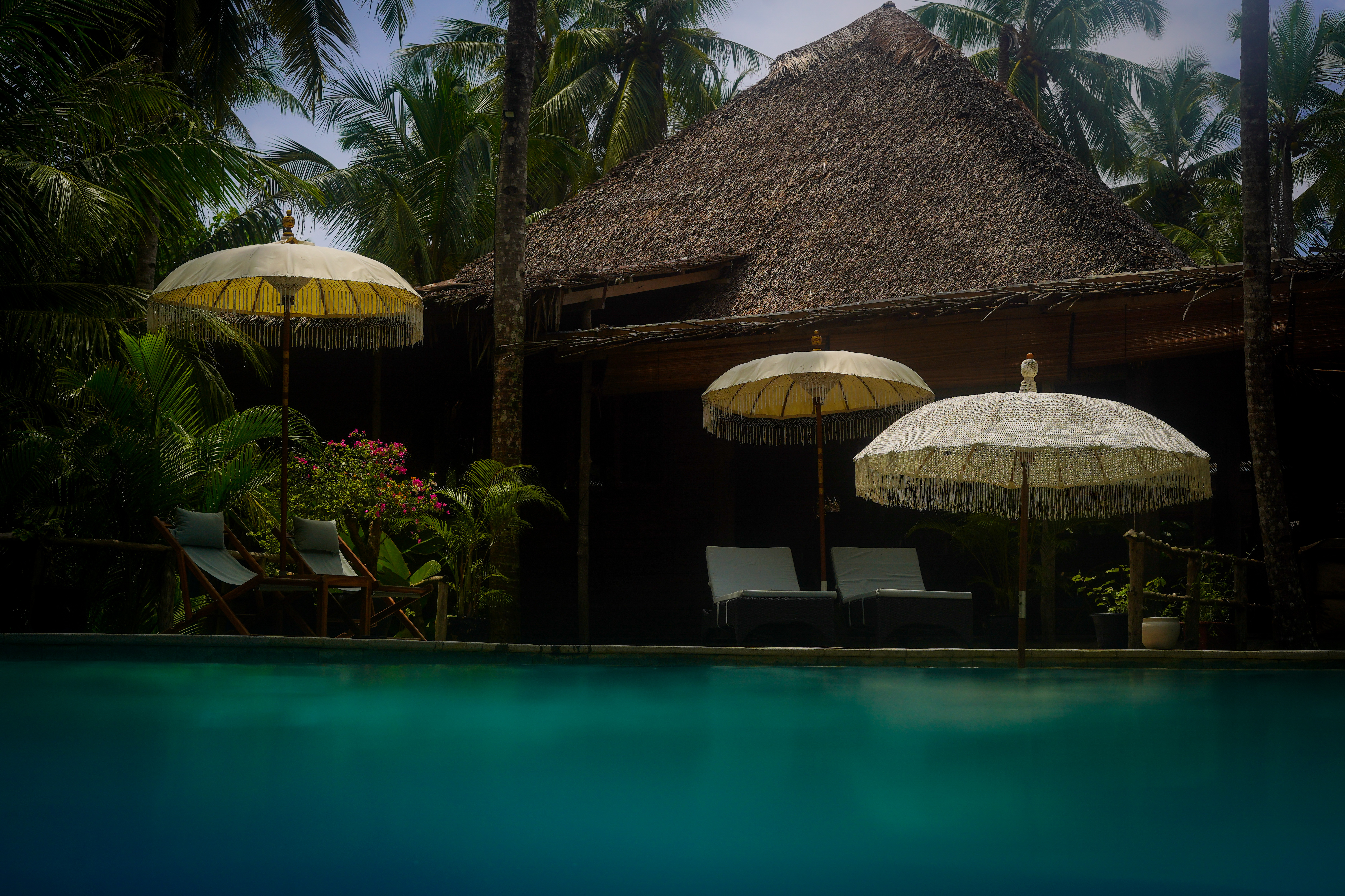 Alaia Mentawai