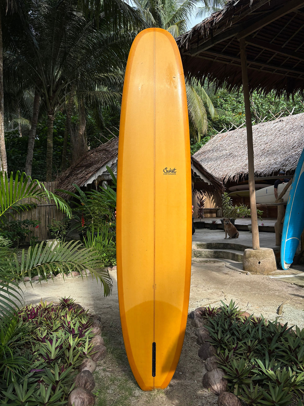 BK Safari 9'4" Bottom