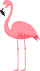 flamingo-5121459_1280.png