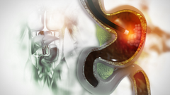 Endoscopista certificado en Veracruz