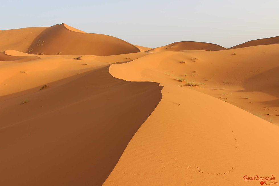 Morocco-sand-dunes