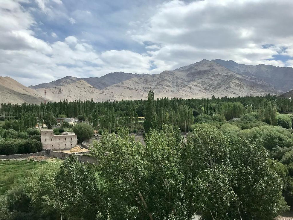 crosseddesign, indian aesthetics, ladakh