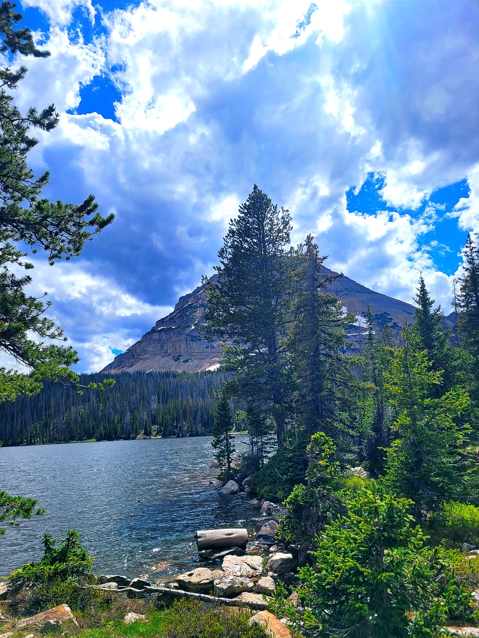 Mountain lake with fir trees.