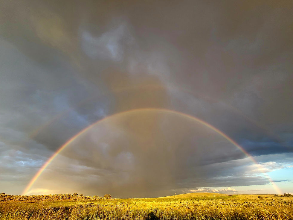 Double rainbow, golden field