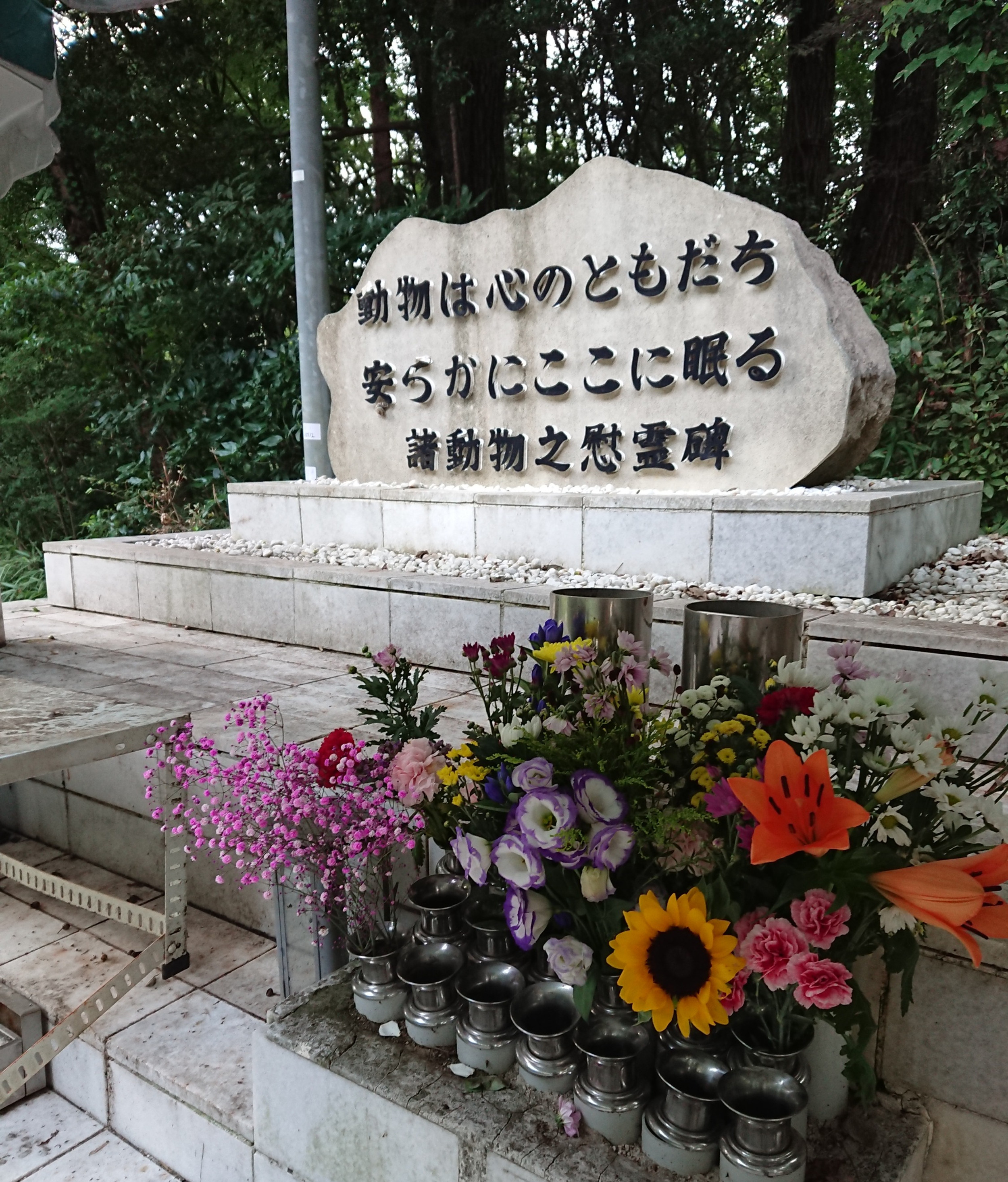 武蔵村山ペットメモリアルパークの写真(東京都武蔵村山市)