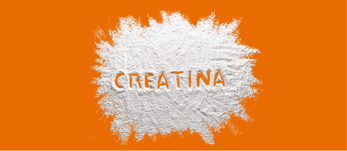 Creatina : o que é e qual comprar