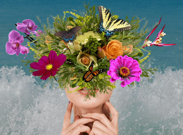 collage.gif
