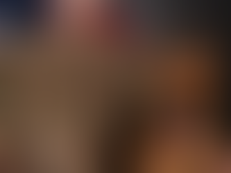 Dog Training in Tampa: Tips from a Former K9 Handler