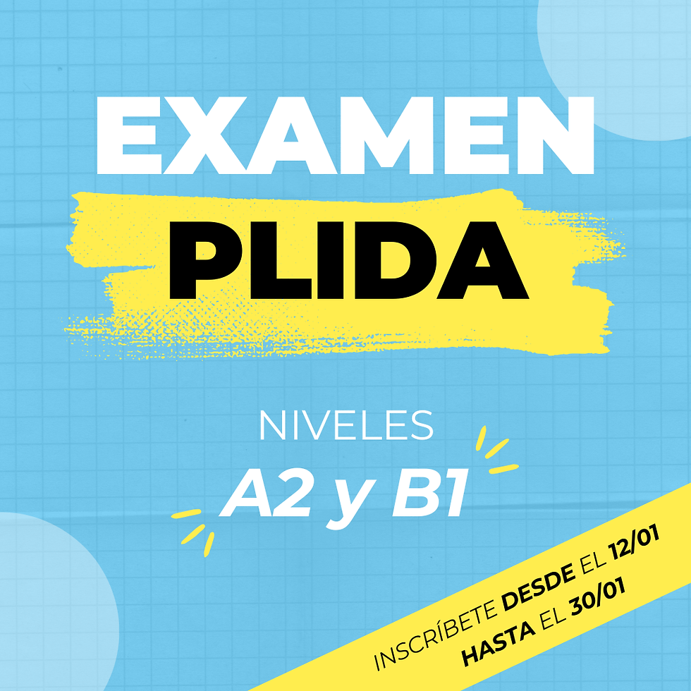 PLIDA FEBRERO 2026