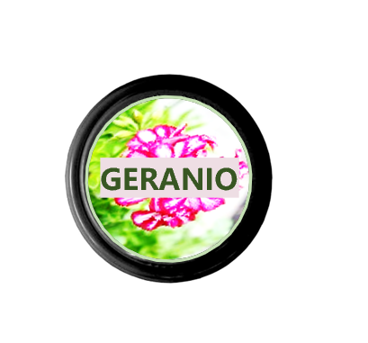 Esencia de Geranio