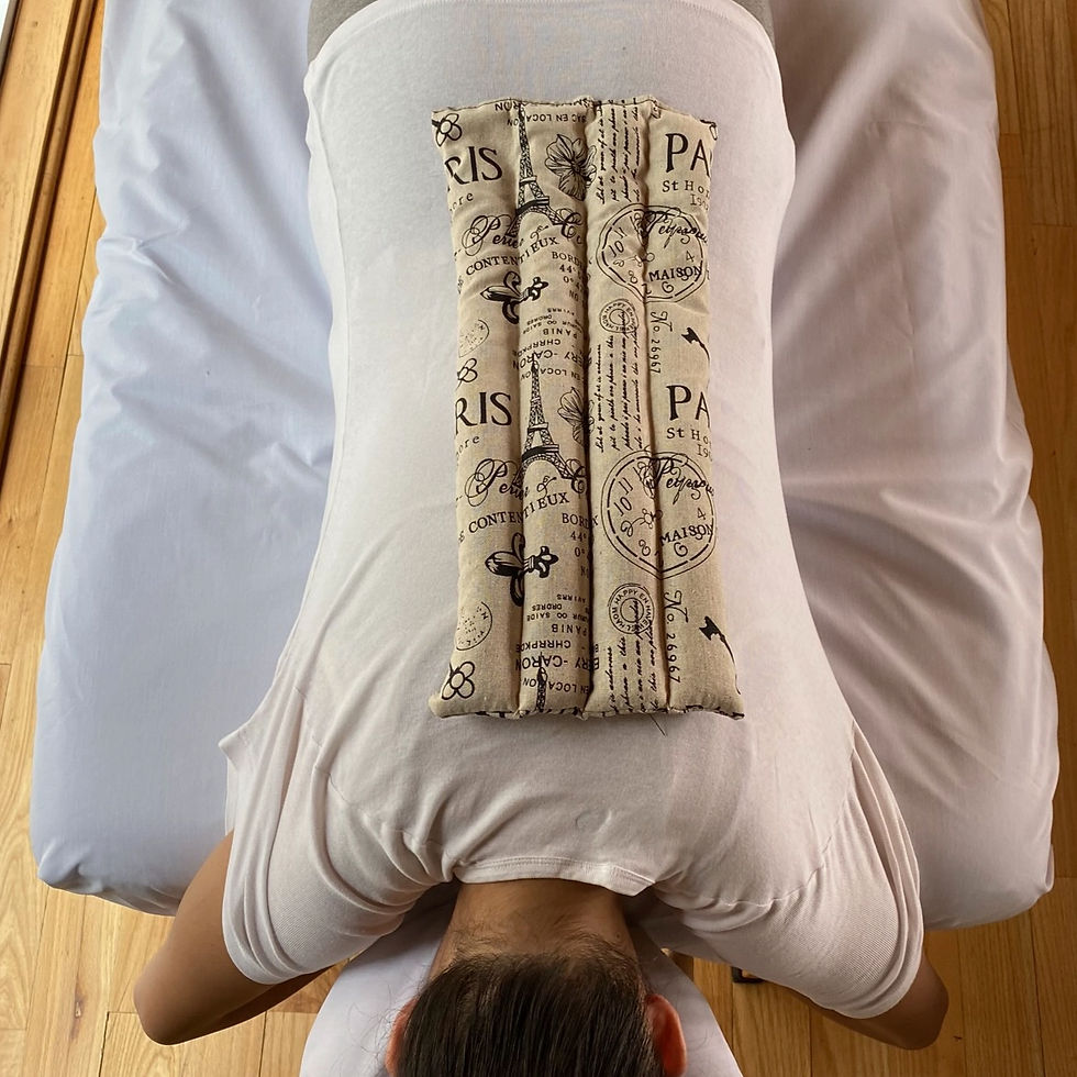 Cojín de Semillas Lumbar