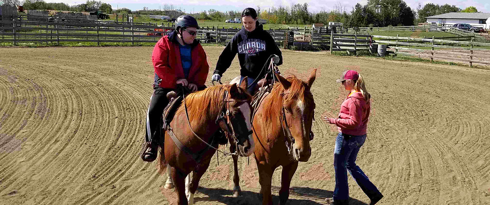 Wesbite Horse Pic Resized 300kb.jpg