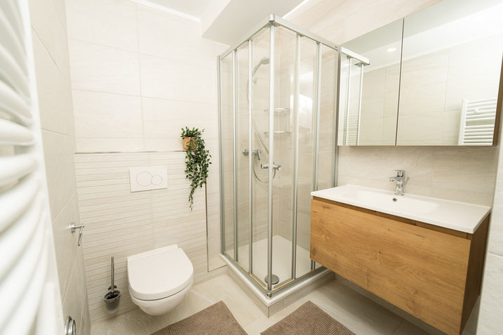 A small bathroom with white ceramic fixtures and brownish wooden tones, including a visible shower, in a Luxembourg property.