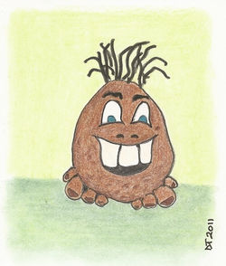 Patate