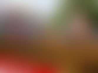 LUCAS OIL PRO MOTOCROSS CHAMPIONSHIP CONFIRMS NINE ROUND SCHEDULE FOR 2020 SEASON