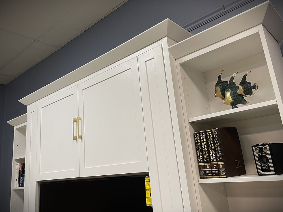 1616-1024 White Lacquer TV Bed Crown Molding