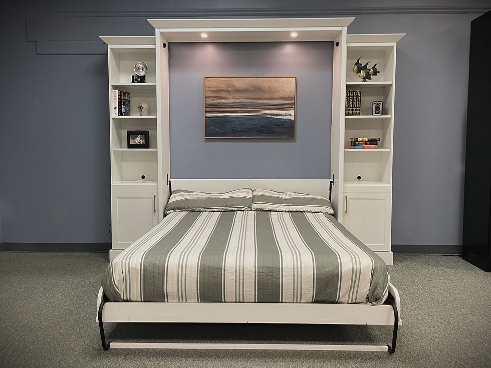 1616-1024 White Lacquer TV Bed Open