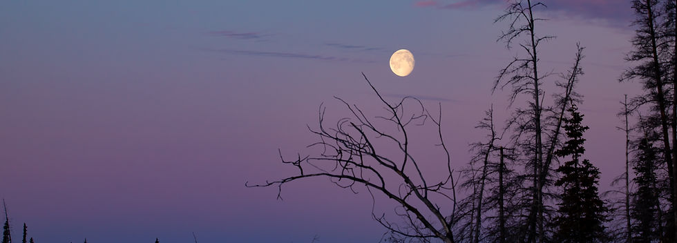 Yukon_Flats_National_Wildlife_Refuge_moon_(33641714588).jpg