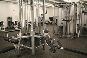 Multifunctional_cable_and_row_machines_in_a_gym.jpg