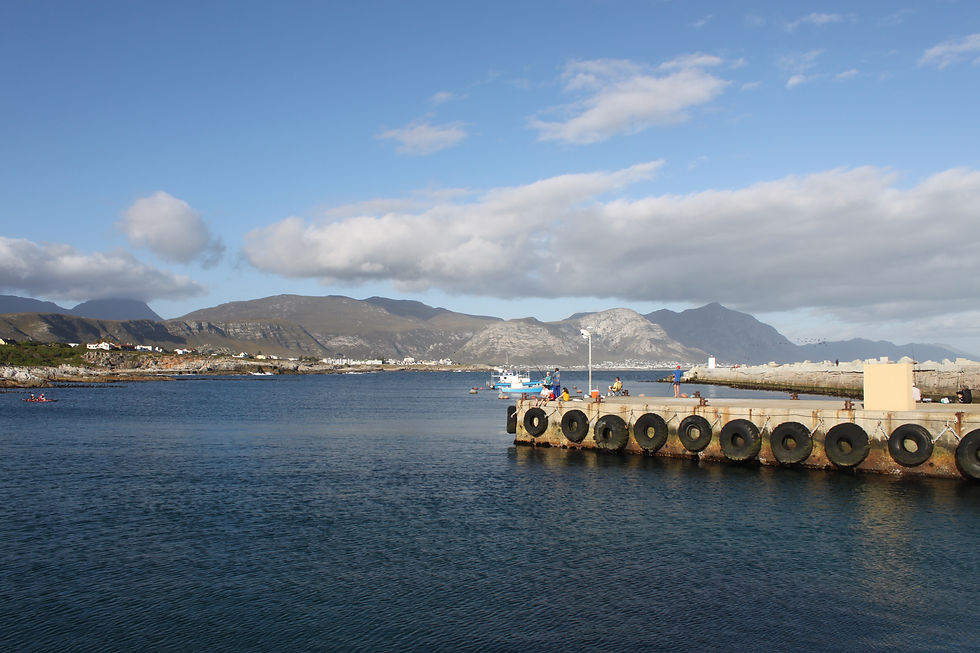 Hermanus Harbour