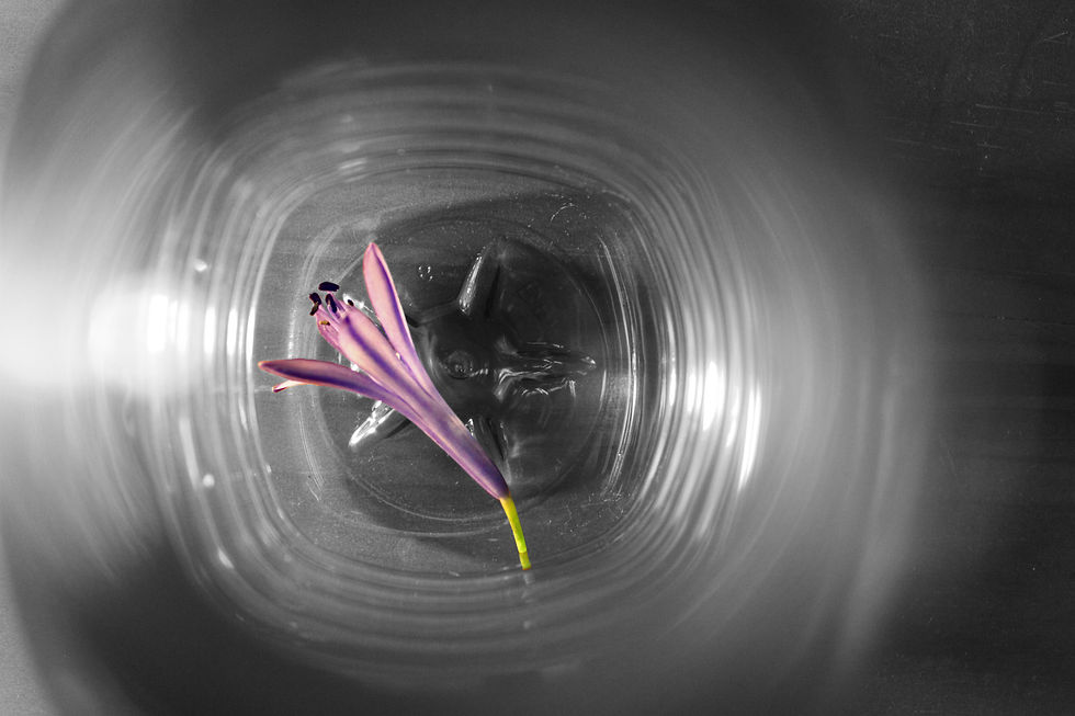 Abstract Art