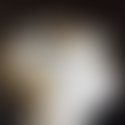 The Language of Light: How to Transform Natural Light into Design Elements for Wedding Dresses