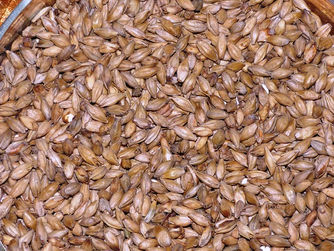 ABOUT BEER- MALTY, HOPPY FLAVORS?