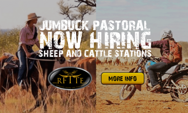 Now Hiring Various Positions Jumbuck Pastoral Cattle Sheep Station Jobs